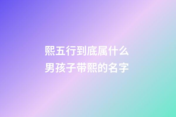 熙五行到底属什么 男孩子带熙的名字